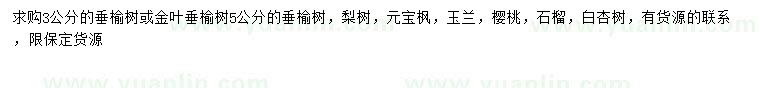 求購垂榆、梨樹、元寶楓等