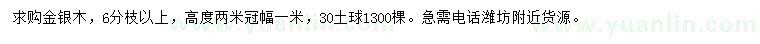 求購高2米金銀木