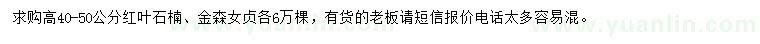求購(gòu)高40-50公分紅葉石楠、金森女貞