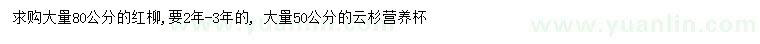 求購80公分紅柳、50公分云杉