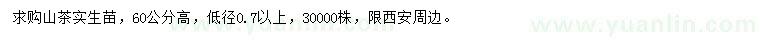 求購高60公分山茶