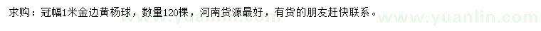 求購冠幅1米金邊黃楊球