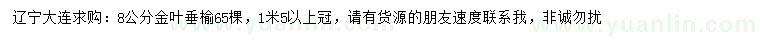 求購(gòu)8公分金葉垂榆