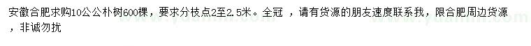 求購(gòu)10公公樸樹(shù)