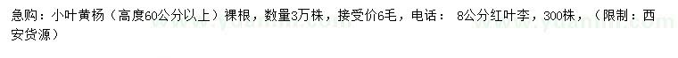 求購高60公分以上小葉黃楊、8公分紅葉李