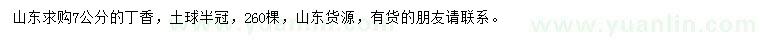求購7公分丁香