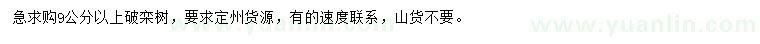 求購9公分以上欒樹
