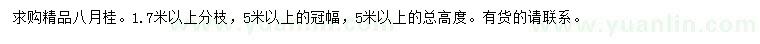 求購冠幅5米以上八月桂