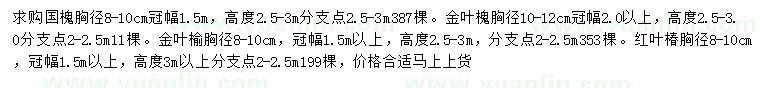 求購國槐、金葉槐、金葉榆等