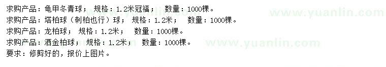 求購(gòu)龜甲冬青、塔柏、龍柏等