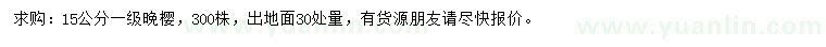 求購30量15公分晚櫻