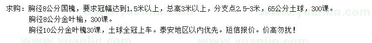 求購(gòu)國(guó)槐、金葉榆、金葉槐