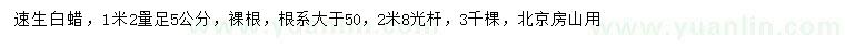 求購(gòu)1.2米量5公分速生白蠟