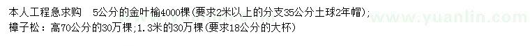 求購5公分金葉榆、高70公分樟子松