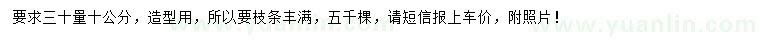 求購30量10公分羅漢松