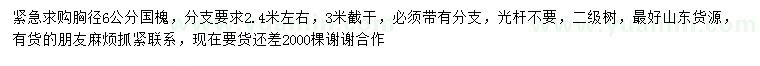 求購胸徑6公分國槐
