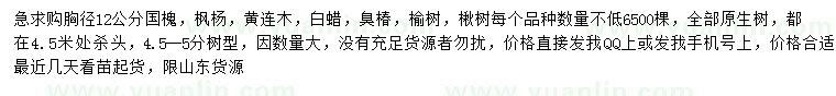 求購國(guó)槐、楓楊、黃連木等