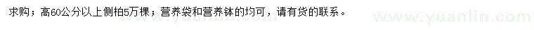 求購高60公分以上側(cè)柏