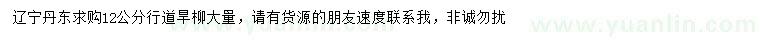 求購12公分旱柳