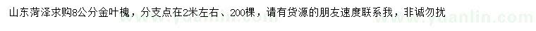 求購8公分金葉槐