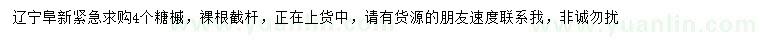 求購4公分糖槭