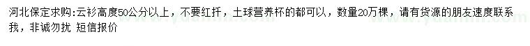 求購高50公分以上云杉