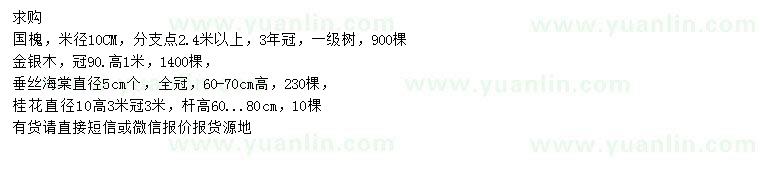 求購(gòu)國(guó)槐、金銀木、垂絲海棠等