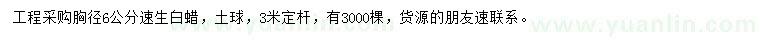 求購胸徑6公分速生白蠟