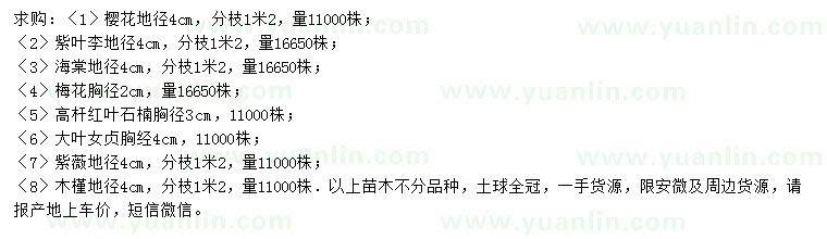 求購(gòu)櫻花、紫葉李、海棠等