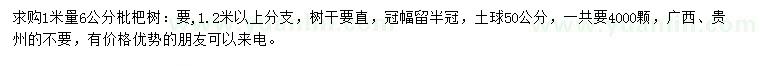 求購1米量6公分枇杷樹