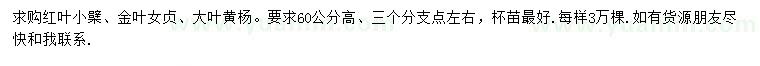 求購紅葉小檗、金葉女貞、大葉黃楊