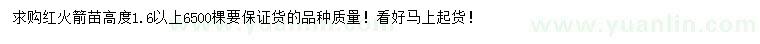 求購(gòu)高1.6米以上紅火箭