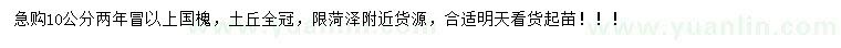 求購10公分以上國槐