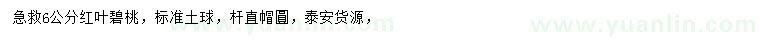 求購(gòu)6公分紅葉碧桃