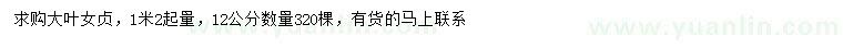 求購1.2米量12公分大葉女貞