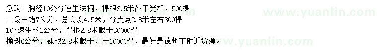 求購速生法桐、白蠟、速生楊等