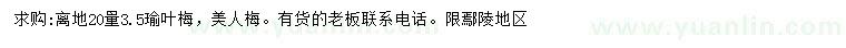 求購20量3.5公分榆葉梅、美人梅