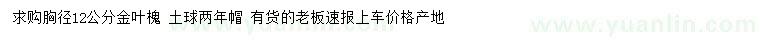 求購(gòu)胸徑12公分金葉槐