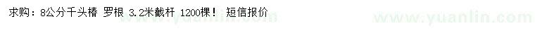 求購8公分千頭椿