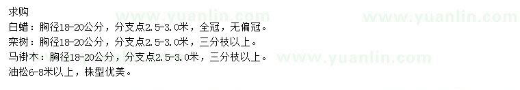 求購(gòu)白蠟、欒樹(shù)、馬褂木等