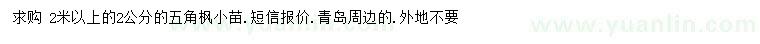求購2米以上五角楓