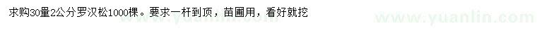 求購30量2公分羅漢松