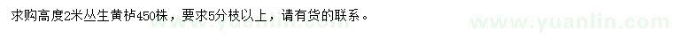 求購(gòu)高度2米叢生黃櫨