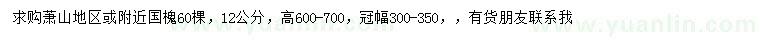 求購12公分國槐