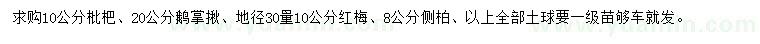 求購枇杷、鵝掌揪、紅梅等