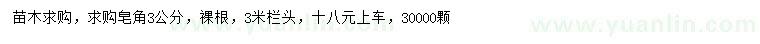 求購3公分皂角
