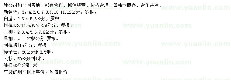 求購(gòu)新疆楊、白臘、國(guó)槐等