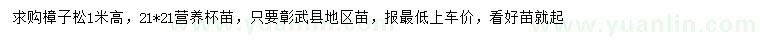 求購高1米樟子松