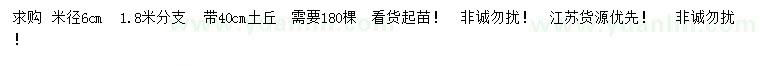 求購米徑6公分絲棉木