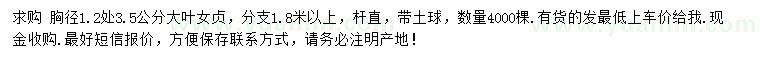 求購1.2量3.5公分大葉女貞